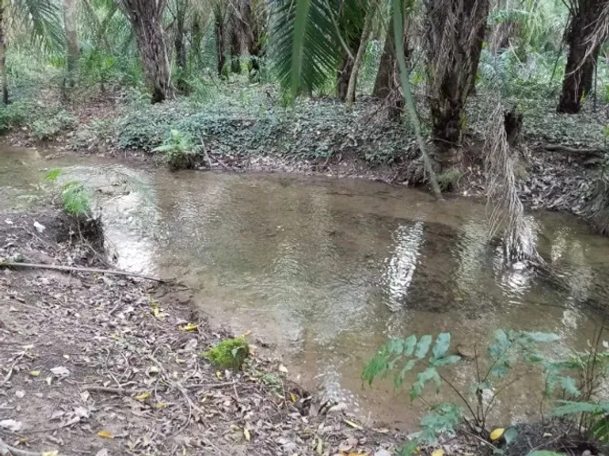VENDO AREA 2HECTARES EM BODOQUENA MS