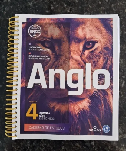 Livros Anglo - Caderno de estudos 4 - Kit Linguagens e Matemática