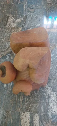 Pé de Mesa de madeira Jaqueira 
