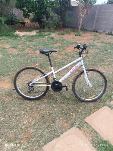 Bicicleta Caloi Ceci aro 24