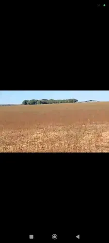 Fazenda de arrendamento 2.600 hec em Paranatinga MT.