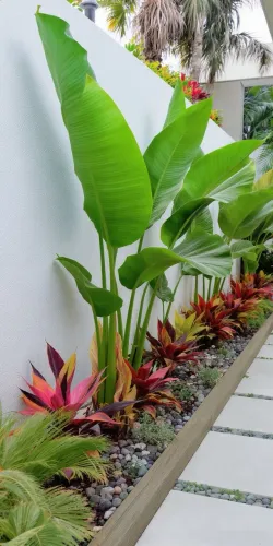     ? Jardinagem | Roçada | Poda de Árvores | Limpeza de Terrenos | Itajaí