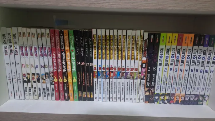 Mangás diversos disponíveis Parte 1 - Blue Lock/Bleach/Hanako//One Punch Man/Demon slayer.
