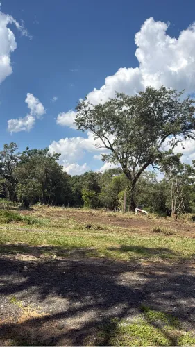 Terreno super plano de 650m² (15m x 45m)