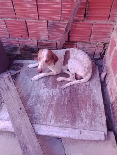 Doação 