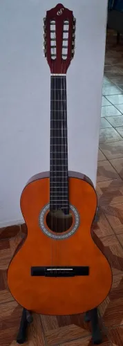 VIOLA GIANNINI 