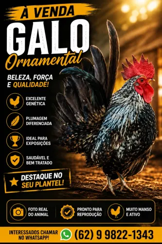 Galize