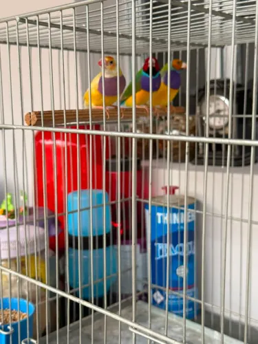 Vendo 3 unidades 