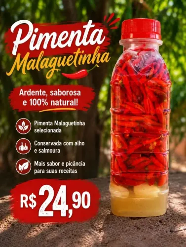 Pimenta Malaguetinha 