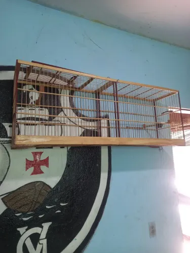 Voador de trinca ferro semi novo