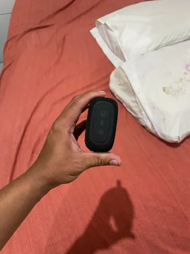 JBL 5GO