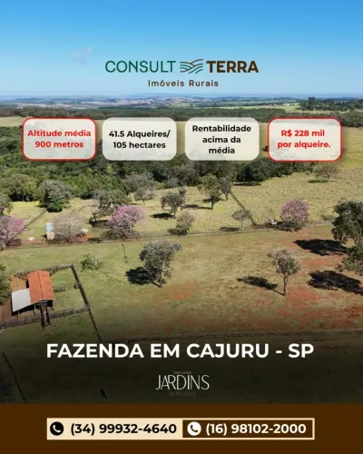 Fazenda em Cajuru-SP 
