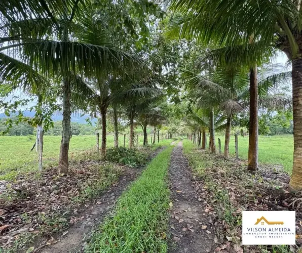 Áreas à venda em rua pública, CENTRO, Coaraci, BA