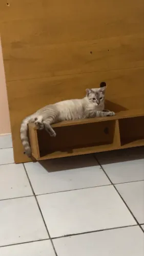 Doação 