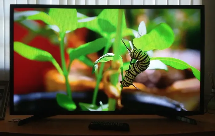 TV LED 43"