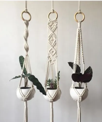 Suporte de Plantas