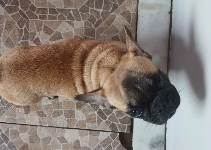 Vende-se