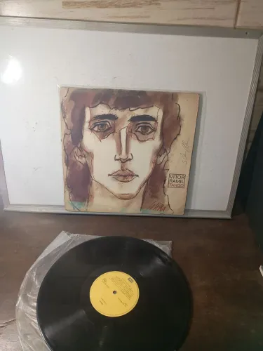 Disco de vinil 