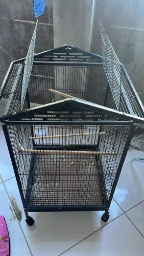 Recinto para aves
