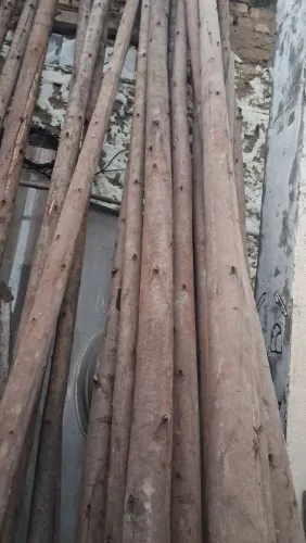 Estronca para escorar laje