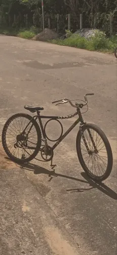 Bike monark