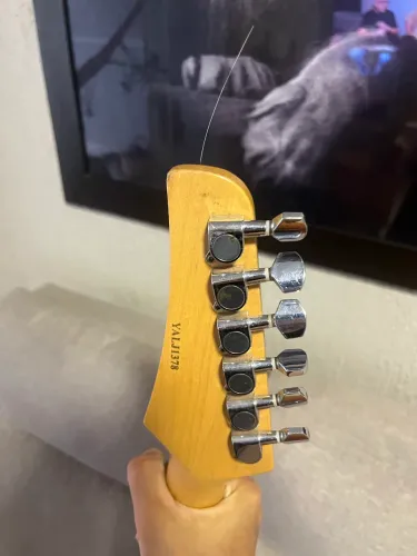 Tele seizi 