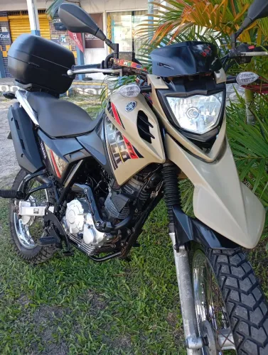Crosser (conservadissima)
