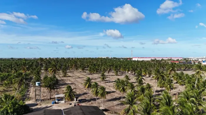 Grande Oportunidade Para Investidores Area de 28.4 Hectares - Parnamirim