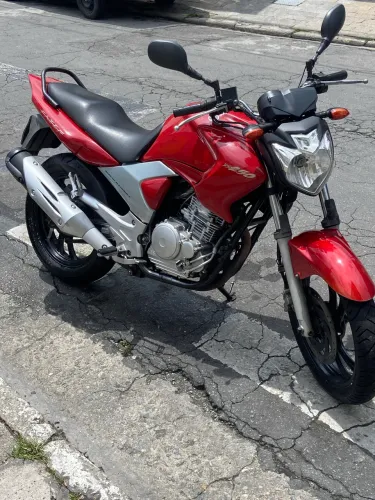 Vendo fazer 2010