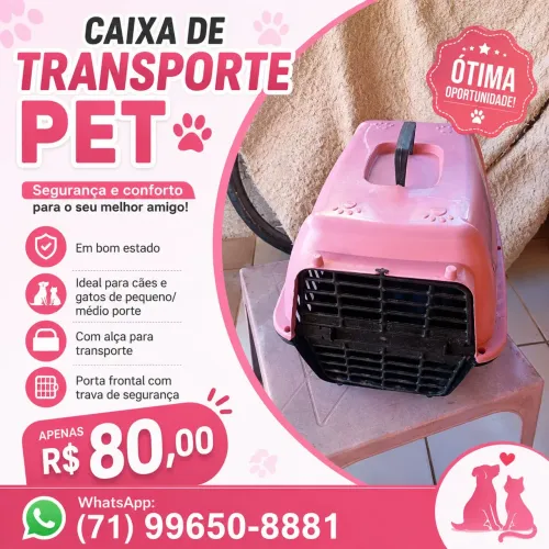 Caixa de transporte para pets.