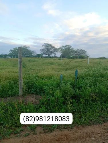 OPORTUNIDADE: terreno de chácara 10x20 no sítio Cupira, apenas 3 kms da Lagoa da Angélica.