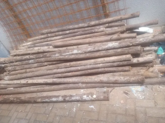 Escoras de eucalipto obra