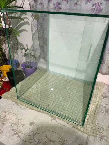 Aquário 50x60