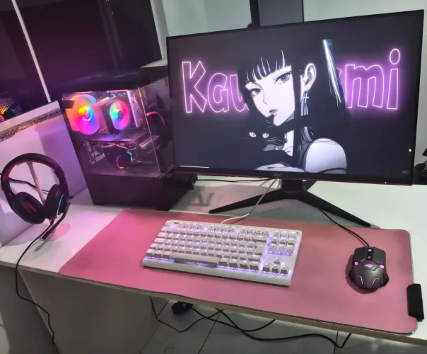 Pc gamer