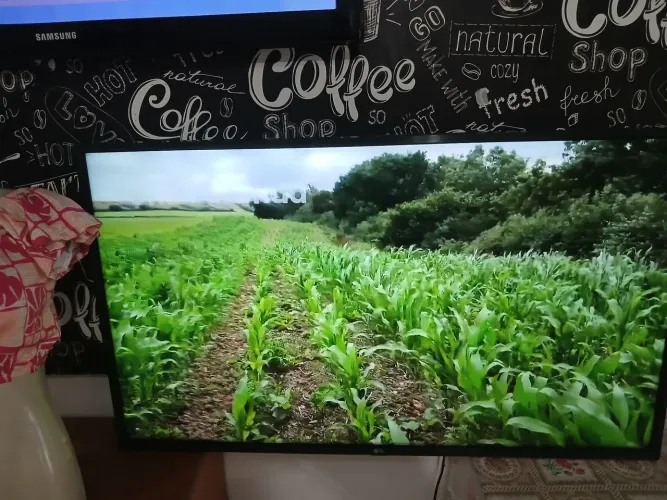 Tv LG 43 polegadas smart com defeito com linhas na tela