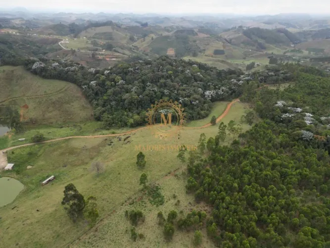 A Maior fazenda disponível a venda no Espírito Santo - Oportunidade