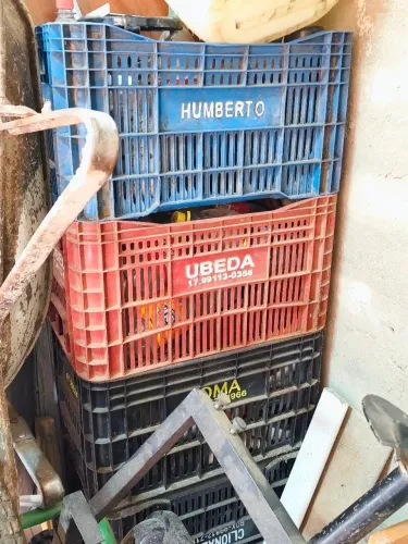 Caixas plásticas pra verduras 