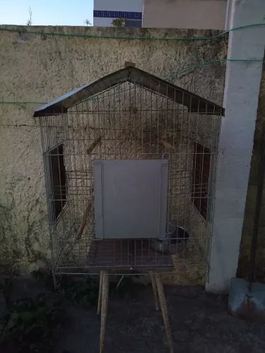 Gaiola grande seminova