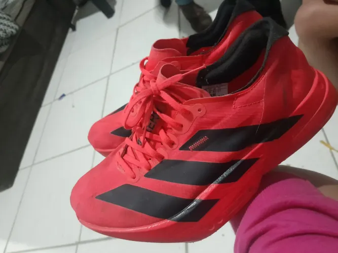 Tenis