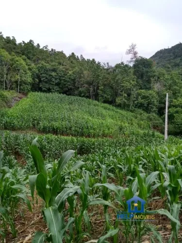 Terreno a Venda em Alfredo Wagner, SC