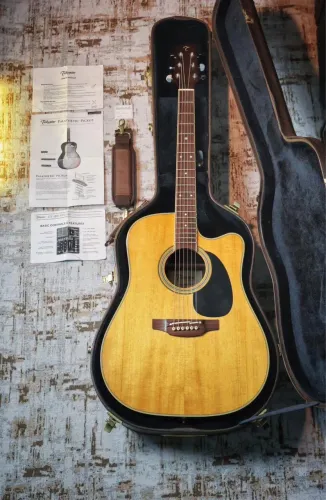 VIOLÃO TAKAMINE EF360 SC TT