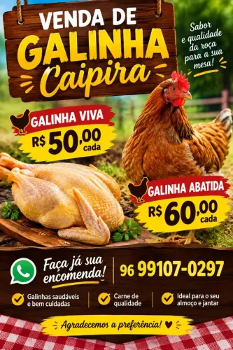 Vende-se galinhas caipira