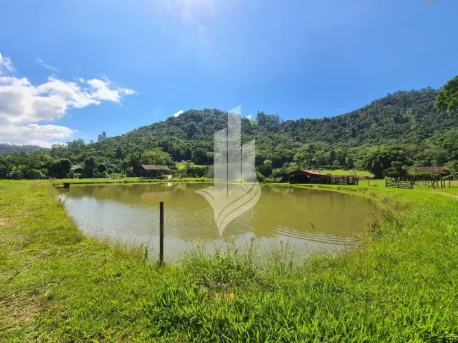 Excelente sítio no Mulde em Timbó com 70.836m², a 6km do Centro de Timbó.