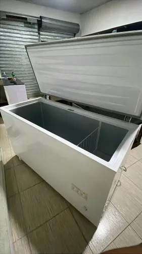 Freezer Electrolux
