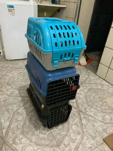 Caixa transporte pet