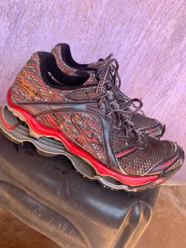 mizuno prophecy 1