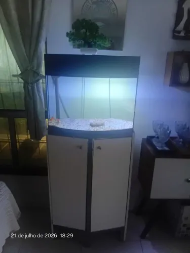 Aquario 