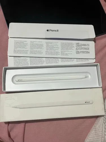 Caneta Apple Pencil 2ª Geração