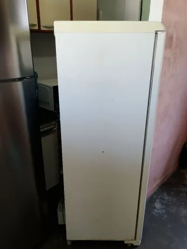 Geladeira Eletrolux RDE33 