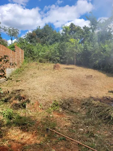 Lote Mateus leme bairro Atalaia 300m²